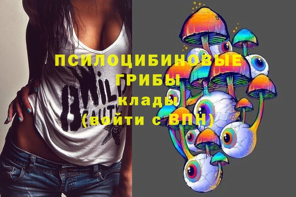 сатива Алексеевка