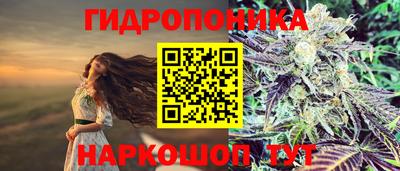 метадон Ярославль