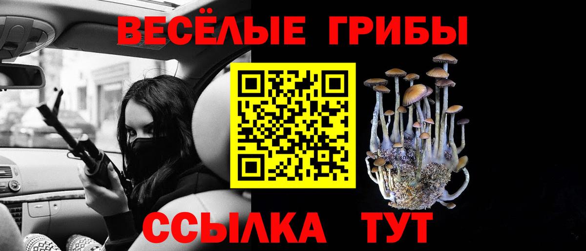 Псилоцибиновые грибы ЛСД  Вход с VPN  Псилоцибиновые грибы Psilocybe  Борзя 